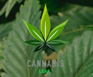 Cannabis Leaf – Calgary | Legal Weed Delivery